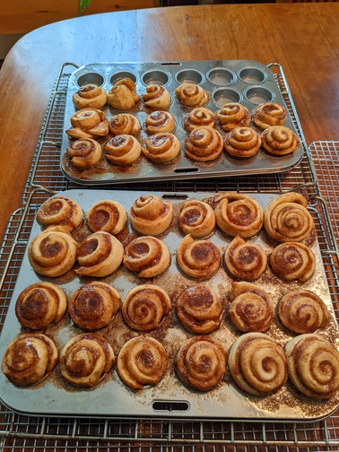 Cinnamon rolls from the oven, still in muffin tins